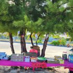 480456141_643792581370005_312586664754716057_n