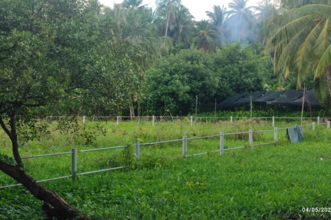 ބައުންޑަރީ ވަކިކުރުން